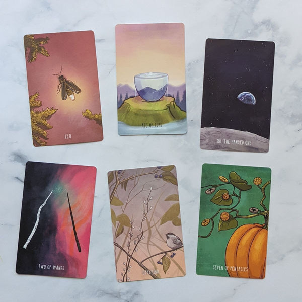 Tarot + Expansion = something new (Expansion Pack lesson five)